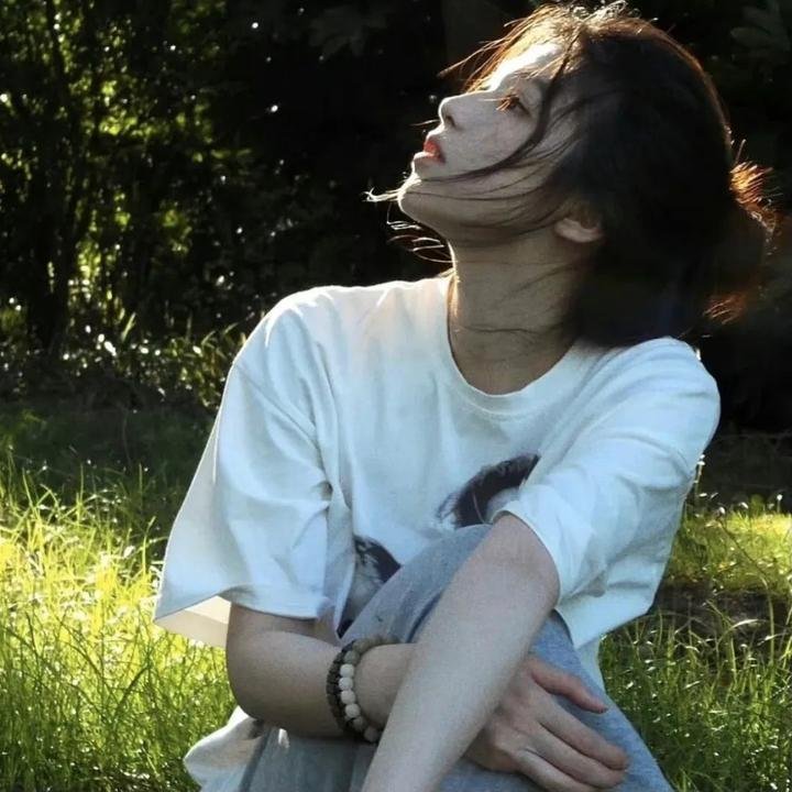 宝莲历险记